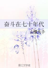 类似奋斗在七十年代的