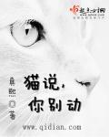 别动我的猫下一句