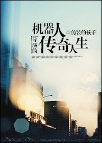 机器人导演的传奇人生防盗