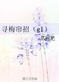 寻梅帘招是什么意思