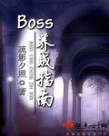 boss养成指南类型的未来文