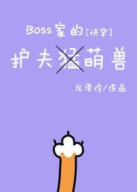 BOSS的护夫萌兽[快穿