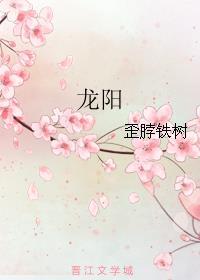 龙阳之兴读音