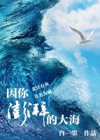 因你澎湃的大海