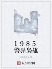 1985警界枭雄