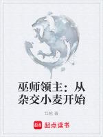 巫师领主：从杂交小麦开始